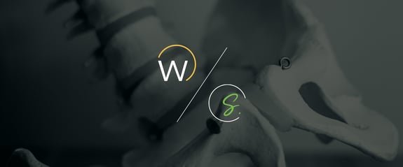 wenzel-safe-2